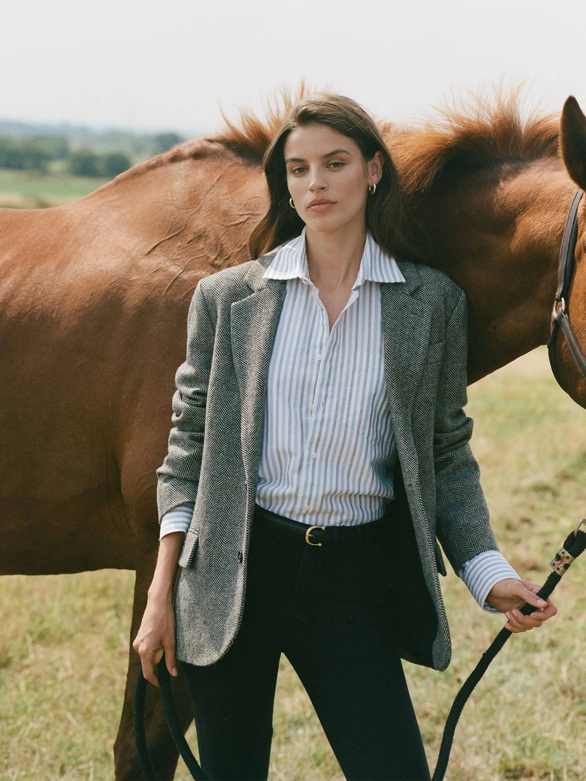 Chessie oxford, blue and navy stripe