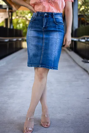 Silver Wishes Panel Denim Skirt